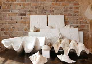 Image of white plaster seashells on a black table with a brick wall in the background.