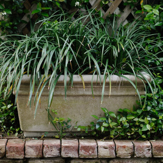Rectangular Planter