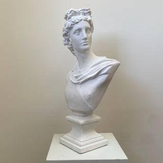 Bust of Apollo