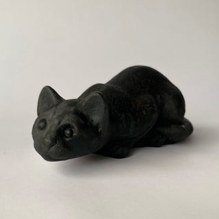 Crouching Cat