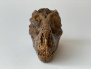 T. Rex Skull