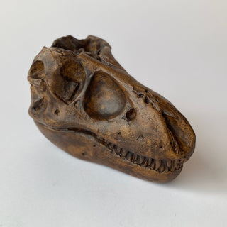 T. Rex Skull