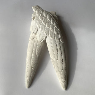 Pair of Wings