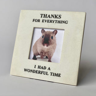 Thanks For Everything Picture Frame