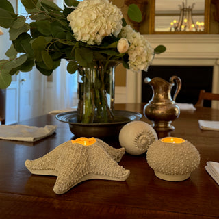 Sea Urchin Candleholder