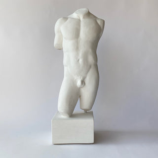 Male Torso