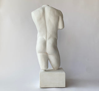 Male Torso