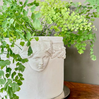 Laurel Leaves Planter