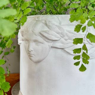Laurel Leaves Planter