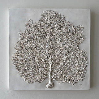 Sea Fan II