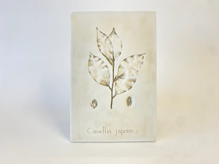 Botanical: Camellia