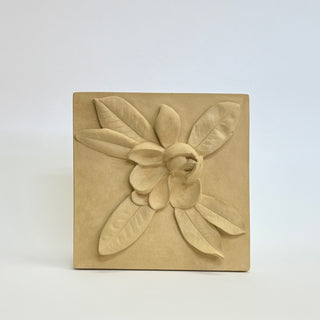 Magnolia Blossom