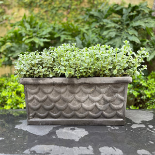 Scalloped Rectangular Planter