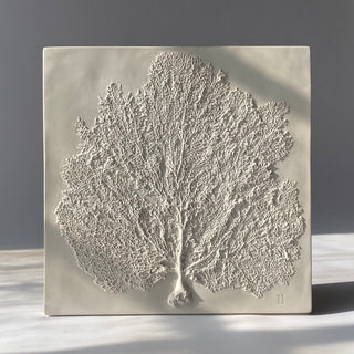 Sea Fan II