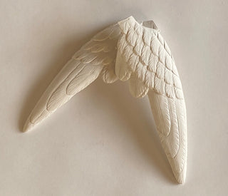 Pair of Wings