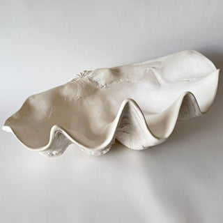 South Pacific Clam Shell