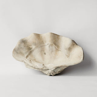 Large Clam Shell