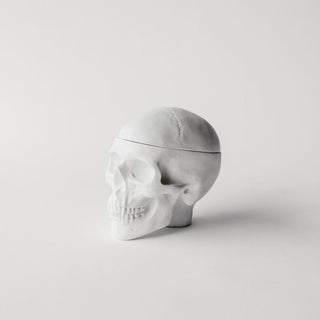 Vampire Skull Box