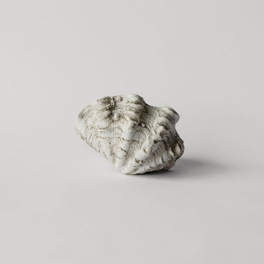 Mini Clam House Parts, Inc.