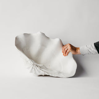 South Pacific Clam Shell