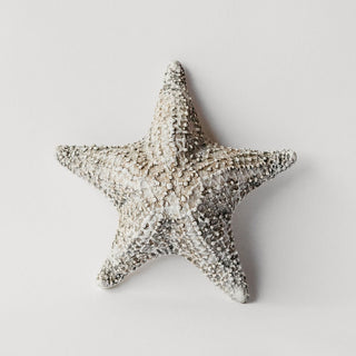 Caribbean Starfish