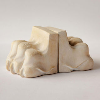 Lion Paw Bookends