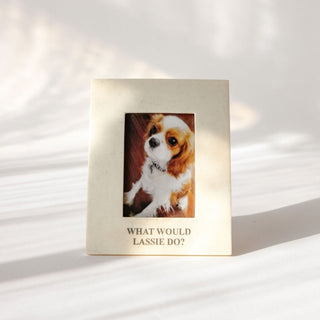 What Would Lassie Do? Picture Frame