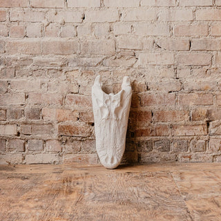 Alligator Skull