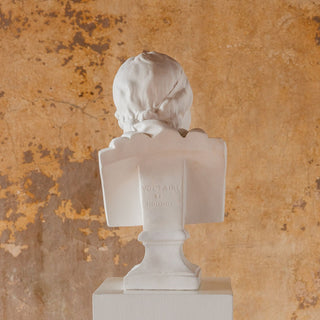 Voltaire by Houdon