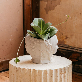 Astral Twins Planter