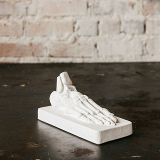 Skeletal Foot