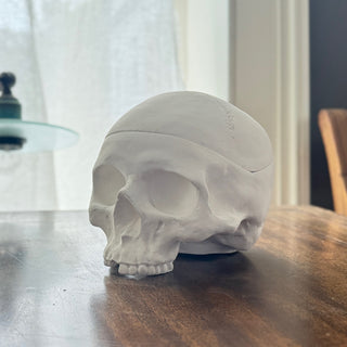 Memento Mori Box