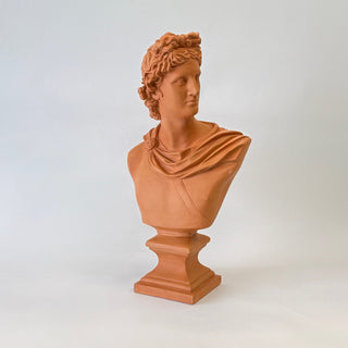 Bust of Apollo