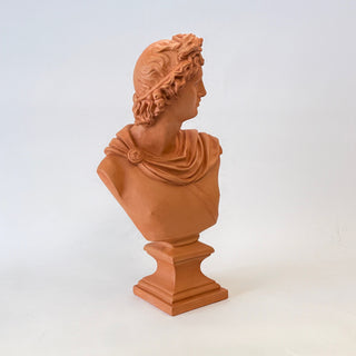 Bust of Apollo