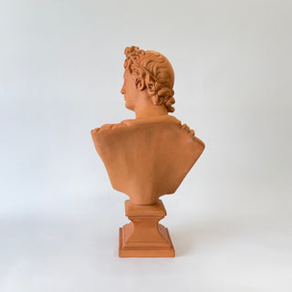 Bust of Apollo