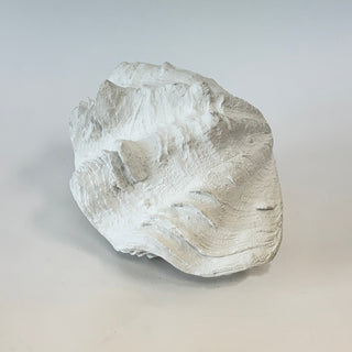 Double Clam Shell
