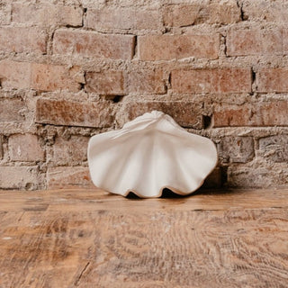 A small clam shell sculpture made of plaster, displayed on a wooden surface against a brick wall background.

House Parts handmade, crafted, artisan, high quality, statues, busts, and garden and animal figurines.  Unique gifts for everyone. Indoor decorations, Outdoor statues and garden items. Fantasy, whimsical, thoughtful gifts, original gift idea, shop small business, plaster, concrete, Clam shell, Gargoyles, Alice in Wonderland, animal lover gifts, pet memorial