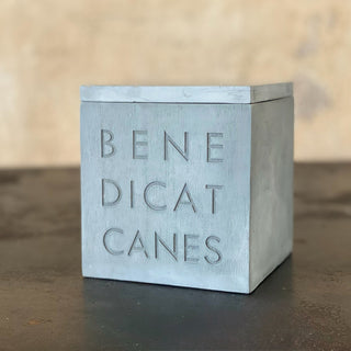 A gray pet memorial urn in the shape of a box with a lid with the inscription 'BENEDICAT CANES' or 'BLESS THE DOGS' on the front.

House Parts handmade, crafted, artisan, high quality, statues, busts, and garden and animal figurines.  Unique gifts for everyone. Indoor decorations, Outdoor statues and garden items. Fantasy, whimsical, thoughtful gifts, original gift idea, shop small business, plaster, concrete, Clam shell, Gargoyles, Alice in Wonderland, animal lover gifts