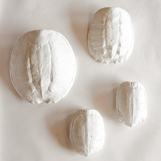 Collection of plaster turtle shells on a white background