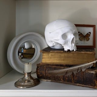 Decorative shelf with a plaster skull box, with lid,, books, and a butterfly on a white surface.

House Parts handmade, crafted, artisan, high quality, statues, busts, and garden and animal figurines.  Unique gifts for everyone. Indoor decorations, Outdoor statues and garden items. Fantasy, whimsical, thoughtful gifts, original gift idea, shop small business, plaster, concrete, Clam shell, Gargoyles, Alice in Wonderland, animal lover gifts, pet memorial