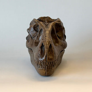 Replica of T Rex Skull fossil on a white background. Realistic looking fossil

House Parts handmade, crafted, artisan, high quality, statues, busts, and figurines.  Unique gifts for everyone. Indoor decorations, Outdoor statues and garden items. Thoughtful gift, animal lovers, rabbit lovers, instead of pet, small business, female owned family business, rabbit, bunny, dog, turtle, frog, clam shell
