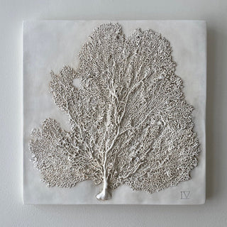 Plaque IV - The fourth of four sea fan plaques mounted on a wall, each depicting a detailed replica of a marine fan coral.

House Parts handmade, crafted, artisan, high quality, statues, busts, and garden and animal figurines.  Unique gifts for everyone. Indoor decorations, Outdoor statues and garden items. Fantasy, whimsical, thoughtful gifts, original gift idea, shop small business, plaster, concrete, Clam shell, Gargoyles, Alice in Wonderland, animal lover gifts, pet memorial