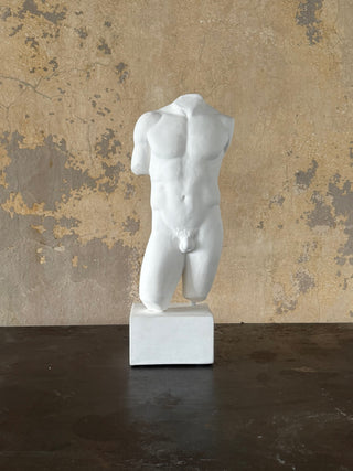 Male Torso