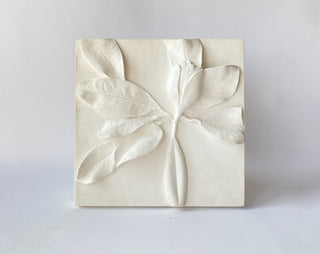 Magnolias, Set of 4