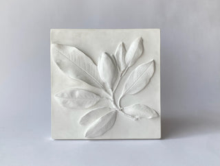 Magnolias, Set of 4