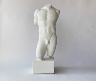 Male Torso