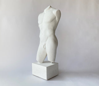 Male Torso