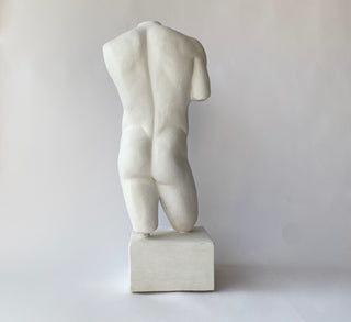 Male Torso