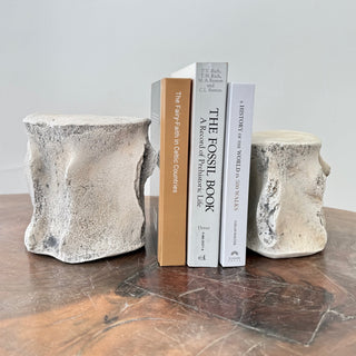 Sperm Whale Vertebrae
