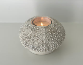 Sea Urchin Candleholder